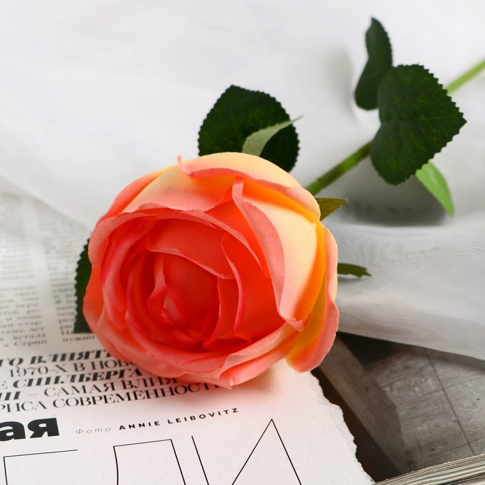 Цветы искусственные "Роза Вивальди" d-7 50 см, жёлто-розовый