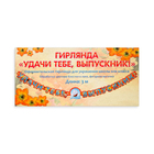 Гирлянда «Удачи тебе, выпускник!" глиттер, синие буквы, 300 см - Фото 2