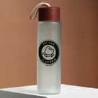 Бутылка для воды «Утки», стекло,цвет МИКС, 350 мл - фото 8889624