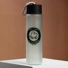 Бутылка для воды «Утки», стекло,цвет МИКС, 350 мл - фото 8889618