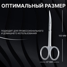 Ножницы маникюрные «Premium», для кутикулы, загнутые, узкие, 10 см, на блистере, цвет серебристый - Фото 3
