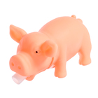 Настольная игра «Хлоп-топ-хрюк!», в пакете - фото 24599131