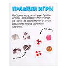 Развивающий набор «Найди предмет», в пакете - фото 24161525