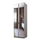 Шкаф 2-х дверный «Экон», 800×520×2300 мм, зеркало, полки, цвет ясень шимо светлый - Фото 1