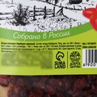Ягоды сушёные барбарис, 30 г. - фото 23637574