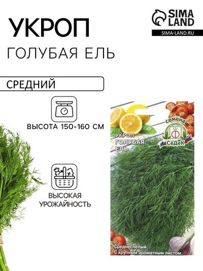 Семена Укроп «Голубая ель», 2 г