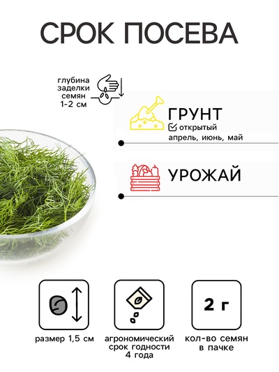 Семена Укроп «Голубая ель», 2 г