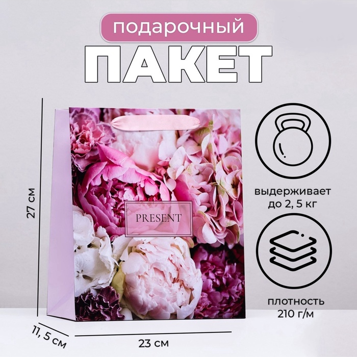 Пакет подарочный ламинированный вертикальный PRESENT, 23×27×11.5 см - Фото 1