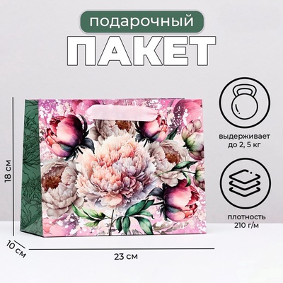 Пакет подарочный ламинированный горизонтальный «Прекрасные пионы», 23×18×10 см