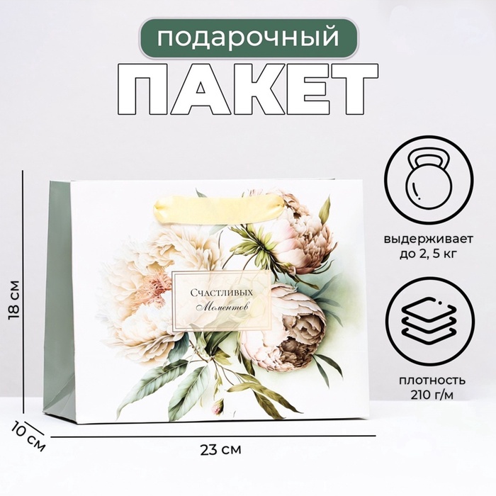 Пакет подарочный ламинированный горизонтальный «Милые пионы», 23×18×10 см - Фото 1