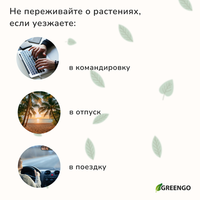 Автополив для комнатных растений под бутылку, регулируемый, с краном, пластик, высота 17.5 см, МИКС, Greengo
