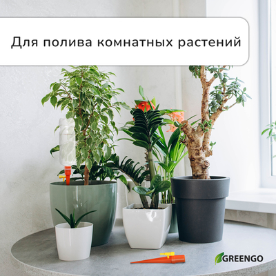 Автополив для комнатных растений под бутылку, регулируемый, с краном, пластик, высота 15 см, МИКС, Greengo