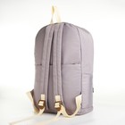 Рюкзак школьный из текстиля на молнии, 2 кармана, цвет серый - фото 11142503