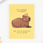 Ежедневник А6, 80 л. Мягкая обл. «Капибара» - Фото 4