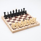 Шахматные фигуры обиходные, король h=7 см, пешка-4 см, пластик - фото 3926546