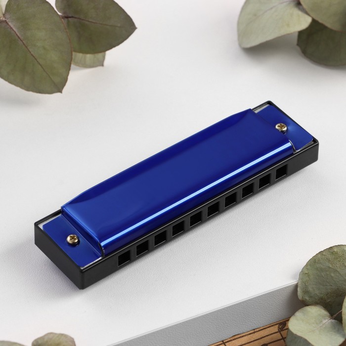 Губная гармошка Bee DF10A Blue, 10 отверстий, 20 язычков - Фото 1