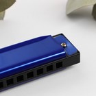 Губная гармошка Bee DF10A Blue, 10 отверстий, 20 язычков - Фото 3