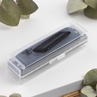 Губная гармошка Bee DF10A Black, 10 отверстий, 20 язычков - Фото 4