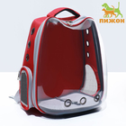 Рюкзак для переноски "Котик", прозрачный, 32 х 28 х 42 см, красный - фото 9989522