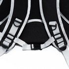 Рюкзак для переноски кошек и собак, прозрачный, раскладывающийся, 32×84×44 см, черный - Фото 13