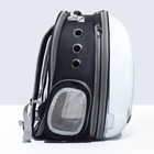Рюкзак для переноски животных, раскладывающийся, 32 х 84 х 44 см, черный/прозрачный - фото 8907638
