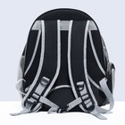 Рюкзак для переноски кошек и собак, прозрачный, раскладывающийся, 32×84×44 см, черный - Фото 4