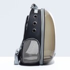 Рюкзак для переноски кошек и собак, прозрачный с напылением, 33 х 25 х 41 см - Фото 2