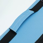 Сумка-переноска с окном для мордочки, 42 х 21 х 25 см, голубая - Фото 5