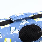 Сумка - переноска животных "Щенки", голубая, размер M, 45 х 21 х 27 см 9897527 - Фото 8