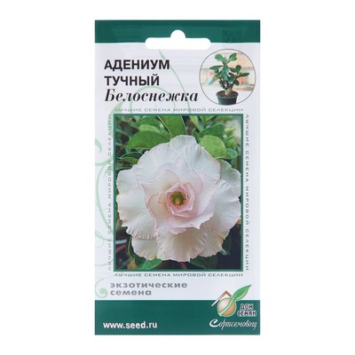 Семена цветов Адениум тучный "Белоснежка", 3 шт