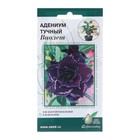 Семена цветов Адениум тучный "Виолет", 3 шт - фото 321043045