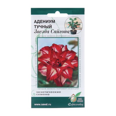 Семена цветов Адениум тучный "Звезда Сайгона", 3 шт