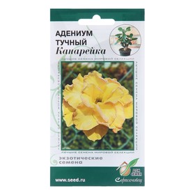 Семена цветов Адениум тучный "Канарейка", 3 шт