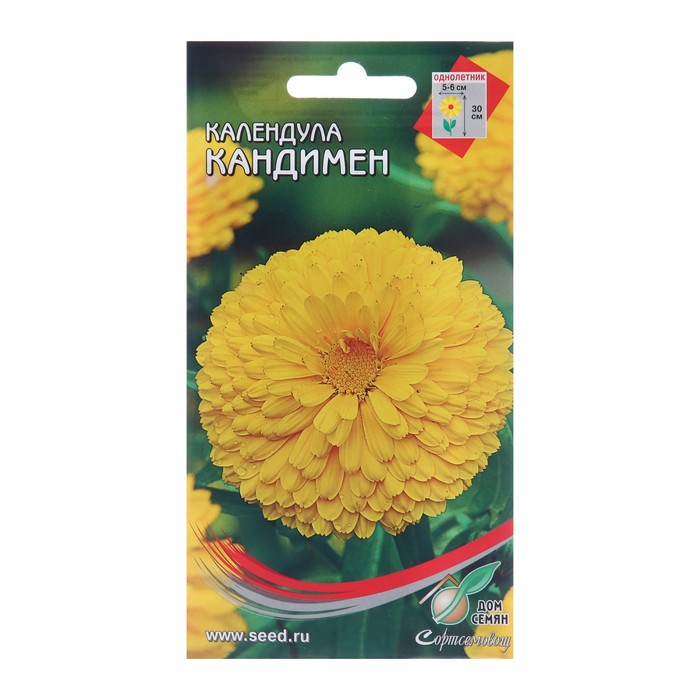 Семена цветов Календула Кандимен, 35 шт