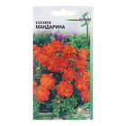 Семена цветов Космея "Мандарина", 10 шт - фото 3926279