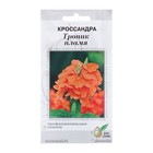Семена цветов Кроссандра "Тропик" пламя, 3 шт - фото 12115315