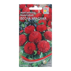 Семена цветов Маргаритка 'Весна красная', 250 шт