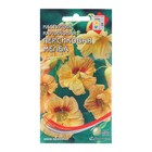 Семена цветов Настурция "Персиковая Мелба", 10 шт - фото 3839203