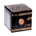 УЦЕНКА Головоломка Игры разума «Философский шар» 10336686