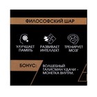 УЦЕНКА Головоломка Игры разума «Философский шар» 10336686