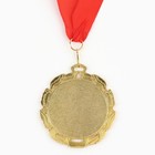 Медаль школьная на Выпускной «Выпускник», на ленте, золото, металл, d = 7 см - фото 9618239