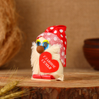 Оберег "Домовёнок Главное Семья", 9 см, микс (комплект 2 шт) - фото 23641095