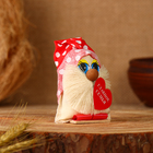 Оберег "Домовёнок Главное Семья", 9 см, микс (комплект 2 шт) - фото 23641096