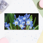 Конверт для денег "Универсальный" глиттер, листья, цветы, 17х8,5 см - Фото 2