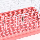 Клетка для кроликов 43 х 29 х 26 см, розовая - Фото 3