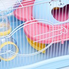 Клетка для грызунов «Пижон», 37×27×30 см, укомплектованная, с туннелем, пластик, металл, синяя - Фото 3