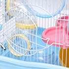 Клетка для грызунов «Пижон», 37×27×30 см, укомплектованная, с туннелем, пластик, металл, синяя - Фото 4