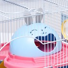 Клетка для грызунов «Пижон», 37×27×30 см, укомплектованная, с туннелем, пластик, металл, синяя - Фото 9