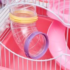 Клетка для грызунов "Пижон", укомплектованная с туннелем, 37 х 27 х 30 см, розовая - Фото 7