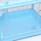 Клетка для грызунов с пластиковым укреплением 47 х 30 х 32 см, голубая - Фото 3